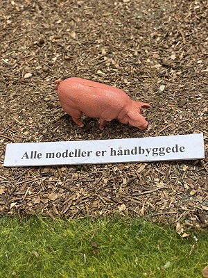 Foto: Vøgg