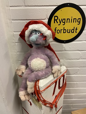 Foto: Vøgg
